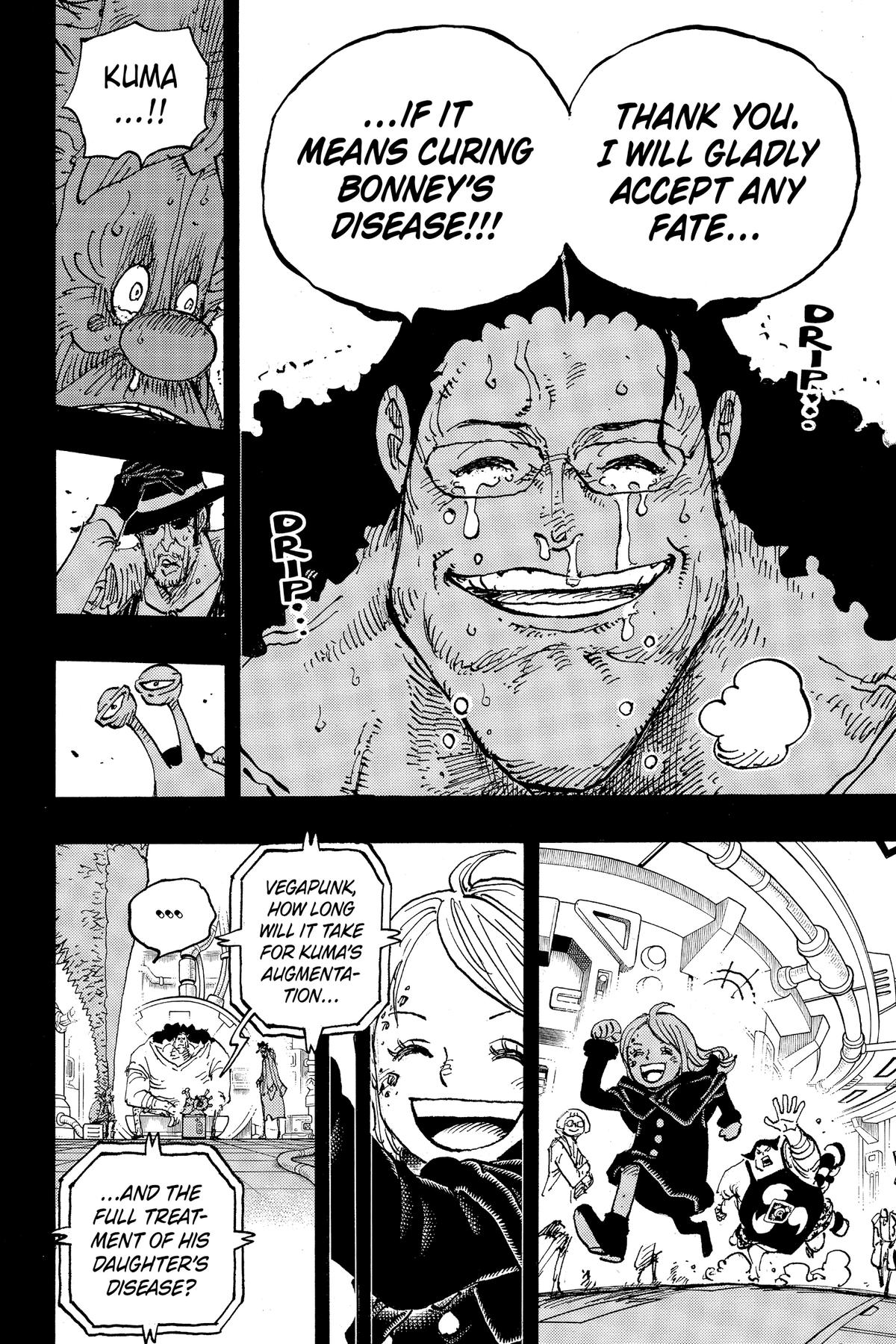 One Piece Chapter 1100 6