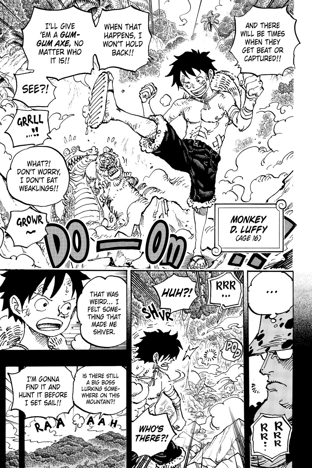 One Piece Chapter 1101 11