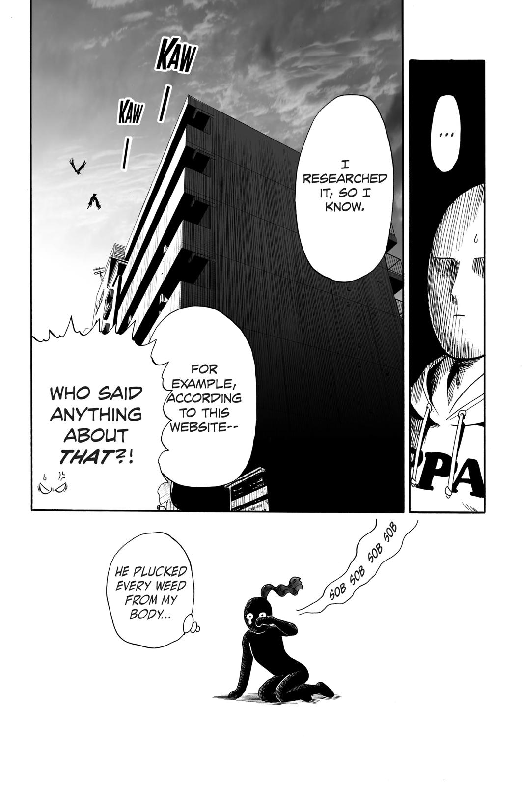 One-Punch Man Punch 20 39