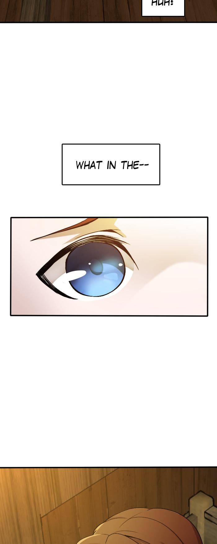 The Beginning After the End 1