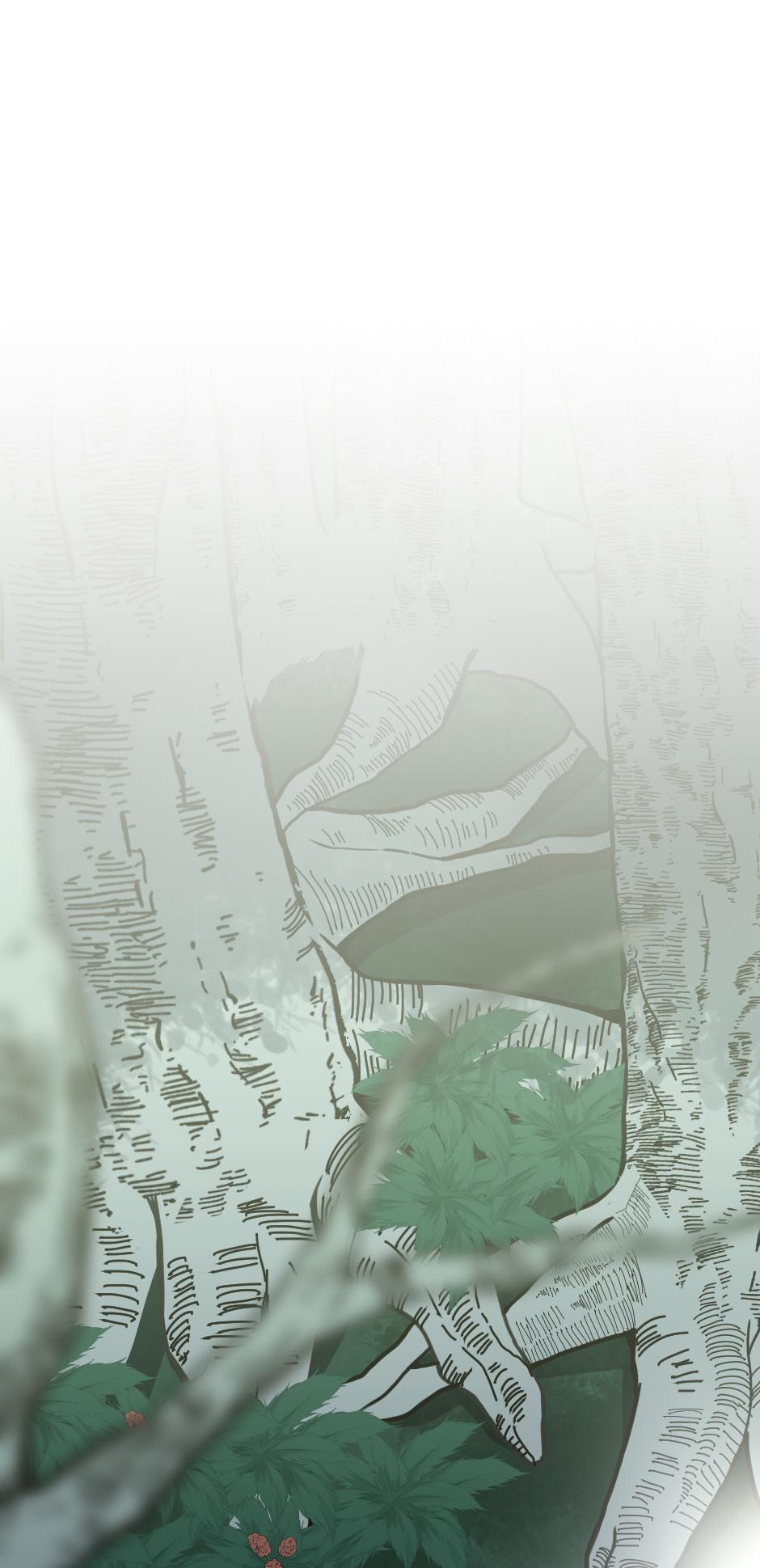 The Beginning After the End 19