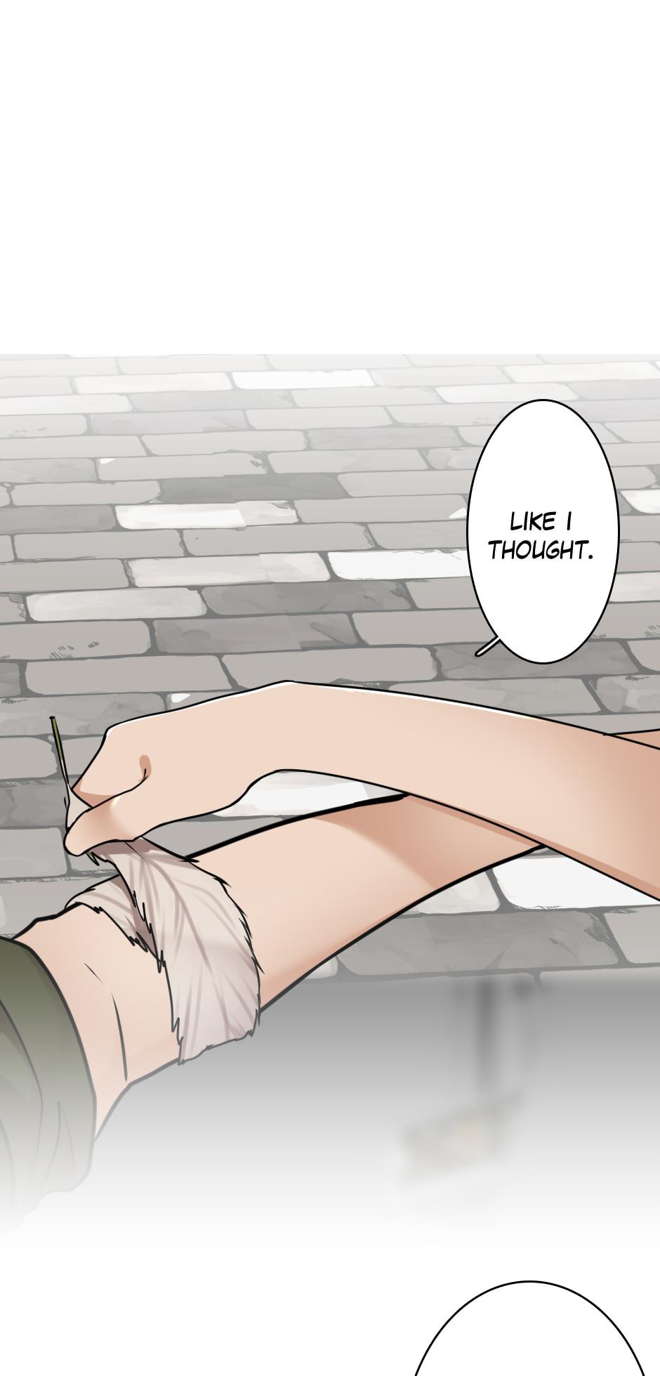 The Beginning After the End 28