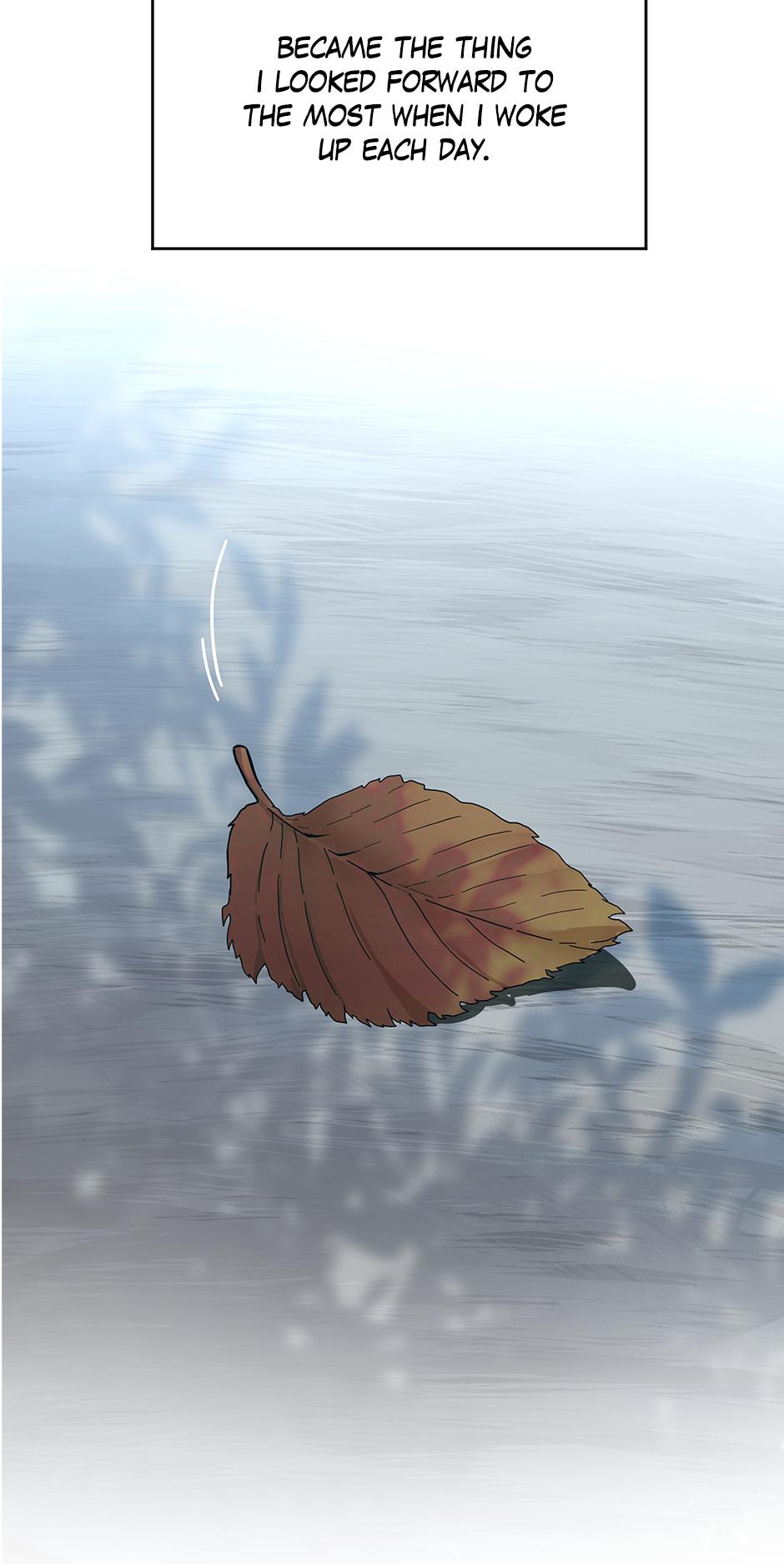 The Beginning After the End 114