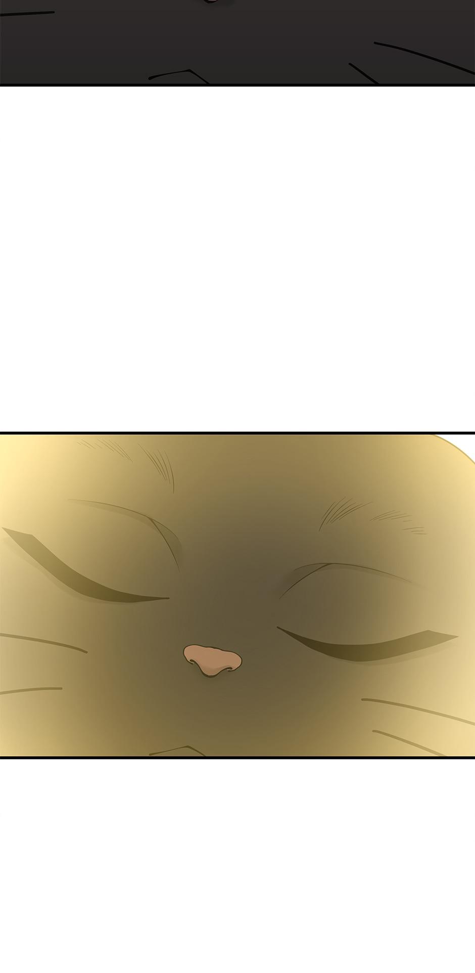 The Beginning After the End 125